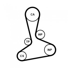 CT1242WP1 CONTITECH Zobsiksnas komplekts ar sūkni