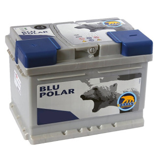 64Ah BAREN 610A,12V Akumulators BLU POLAR (-+) 242x175x190